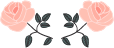 Asset 1 1